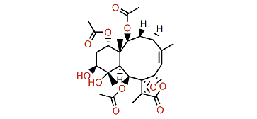 Briarenol K